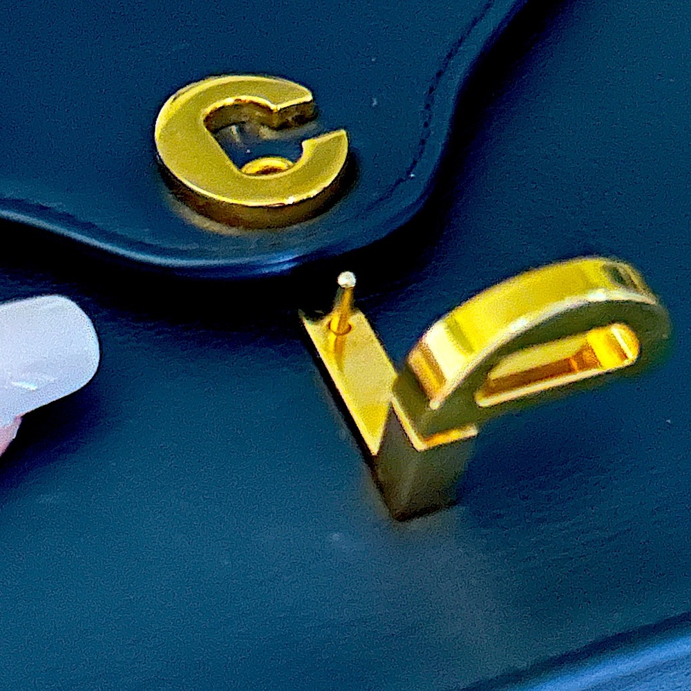 Gorgeous CALFSKIN CHRISTIAN DIOR C’EST DIOR BAG(Includes Authenticity Card) - Picture 10 of 16